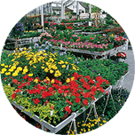 Gartencenter & Endverkaufsbetriebe